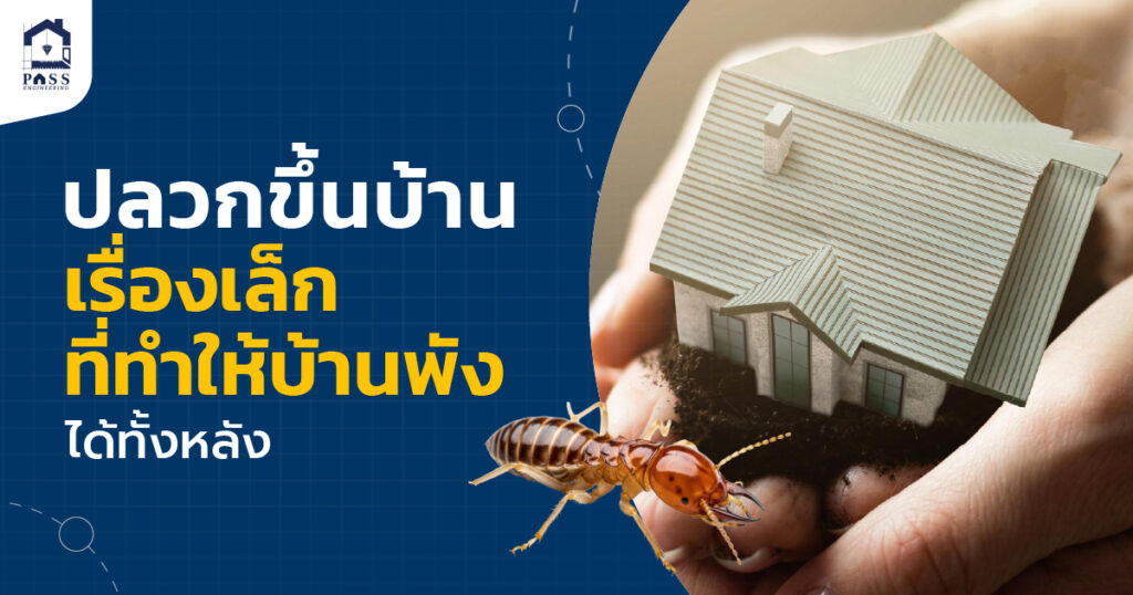 ปลวกขึ้นบ้าน รับตรวจบ้าน