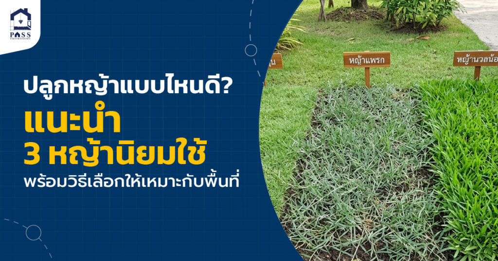 ปลูกหญ้า แบบไหนดี