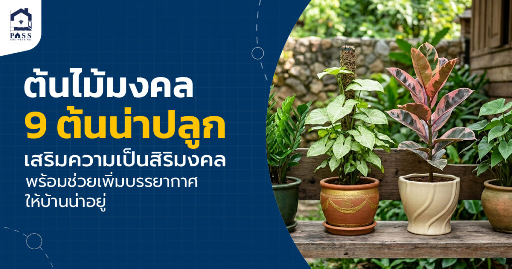 ต้นไม้มงคล
