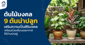 ต้นไม้มงคล